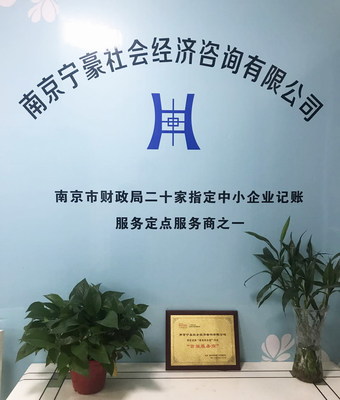 專(zhuān)業(yè)服務(wù)的助力者 南京寧豪社會(huì)經(jīng)濟(jì)咨詢(xún)的商業(yè)發(fā)展價(jià)值